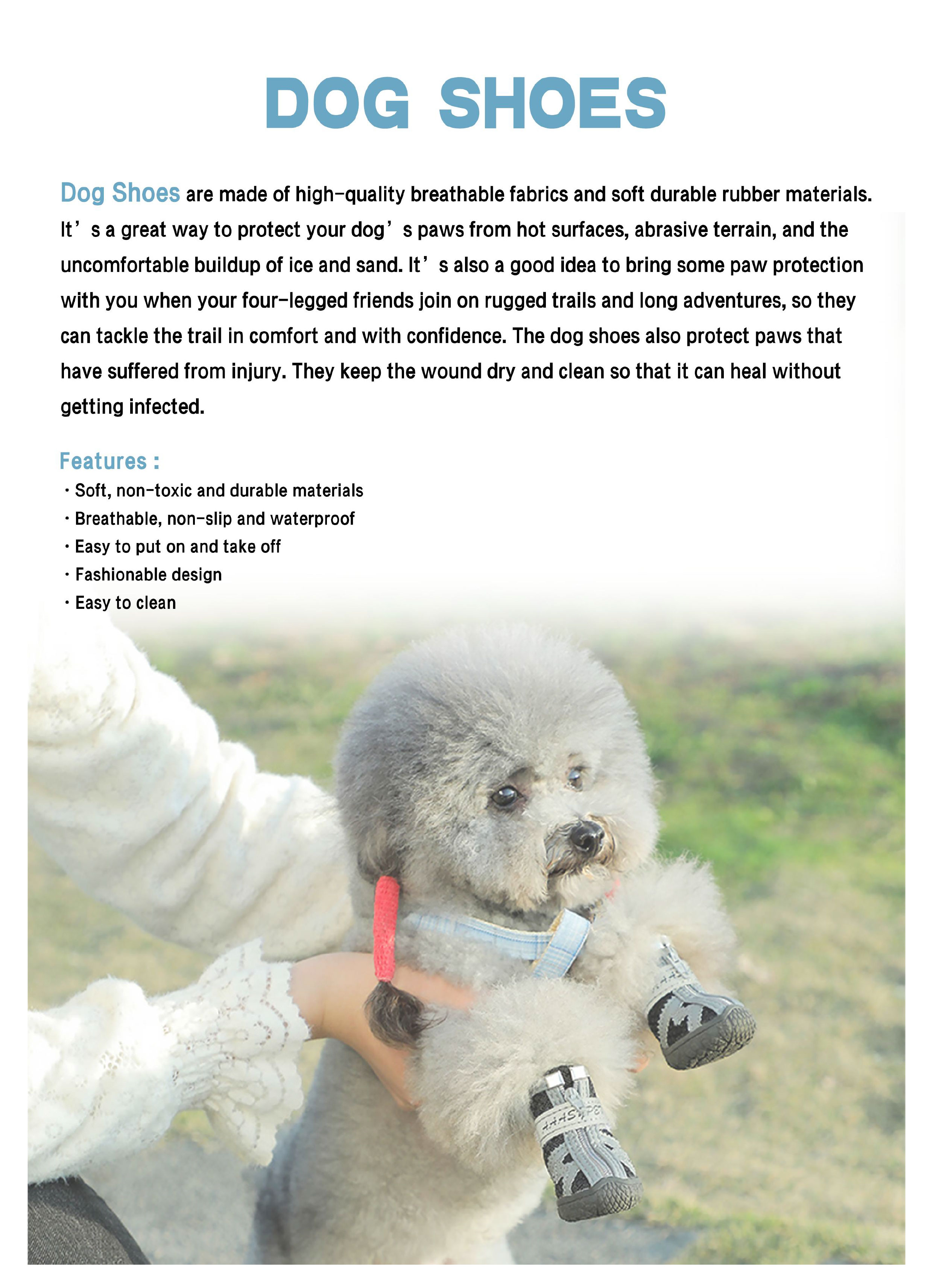 image023(001) image023(001)